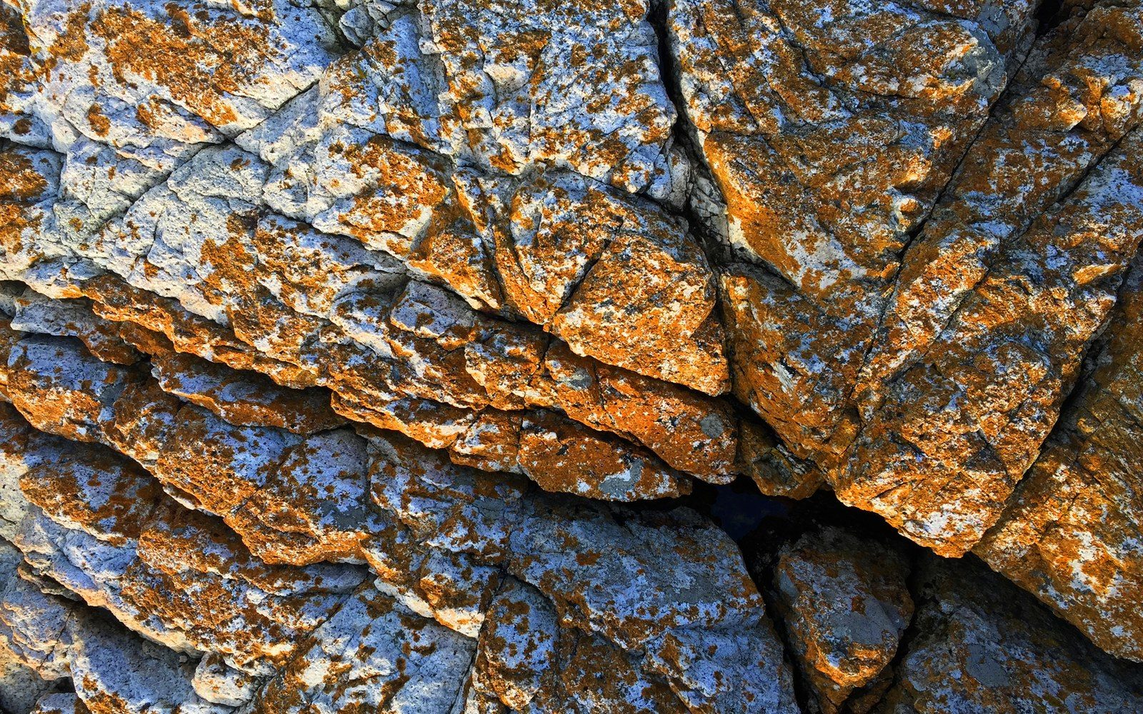 A gloved adult hand placed in a granite crack at Index, the rock texture and lichen visible at close range