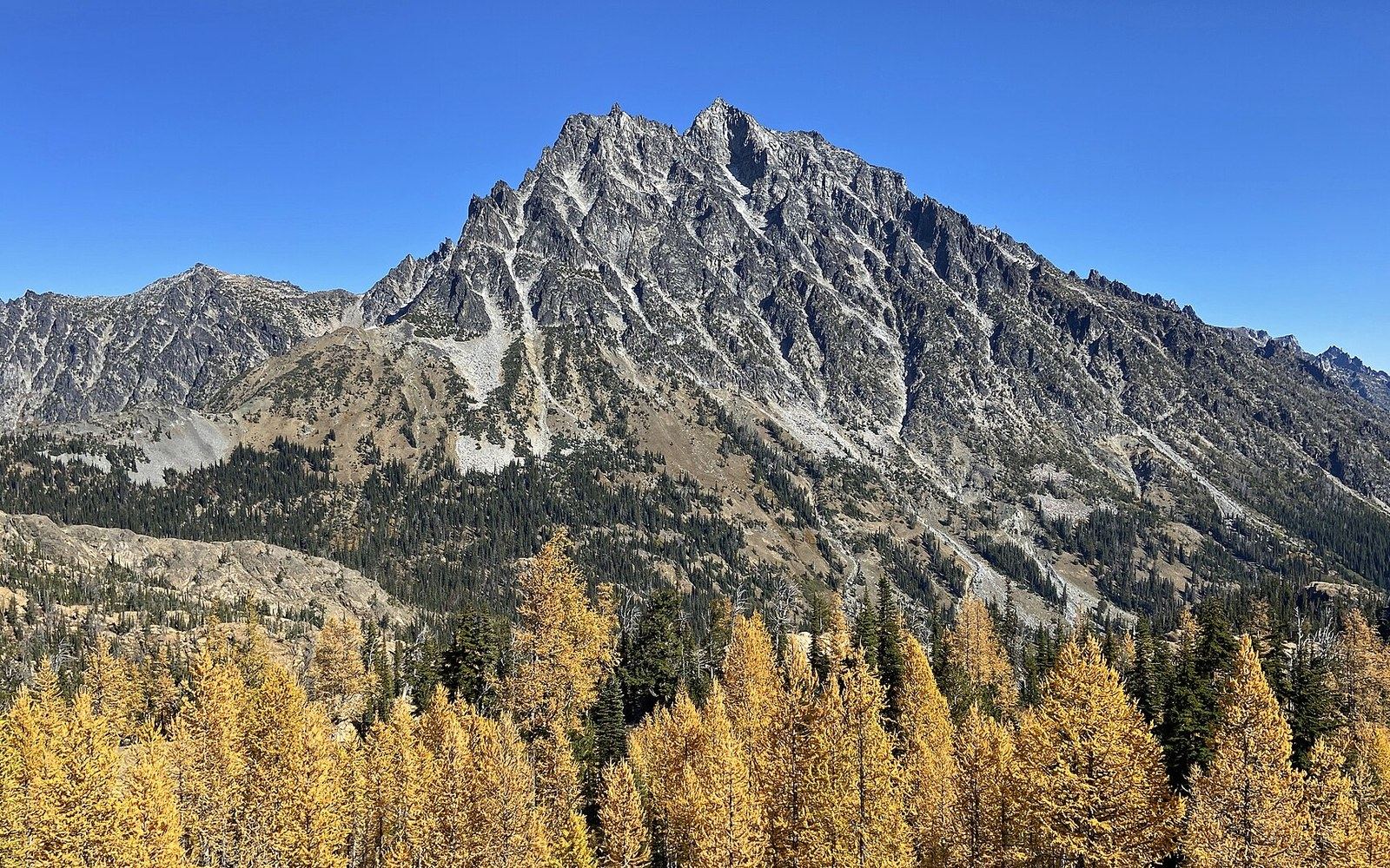Jagged rocky peak rises above golden larches and evergreen forest under clear sky