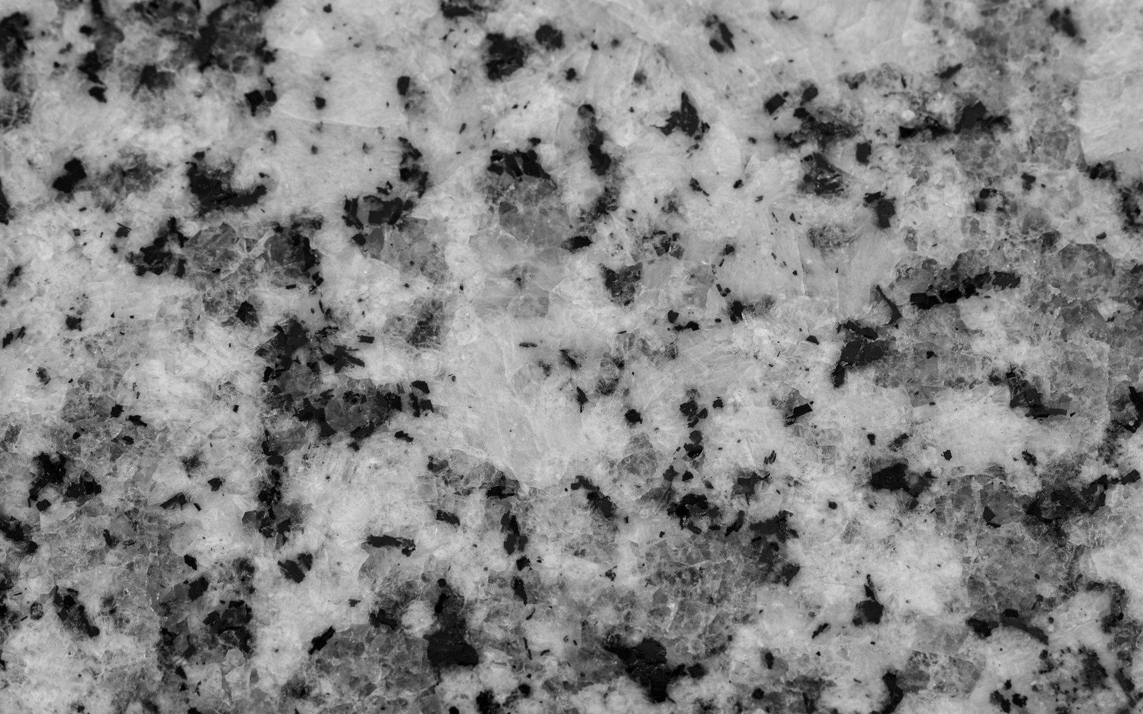 Close-up of granite surface showing dark speckled minerals against a light gray matrix