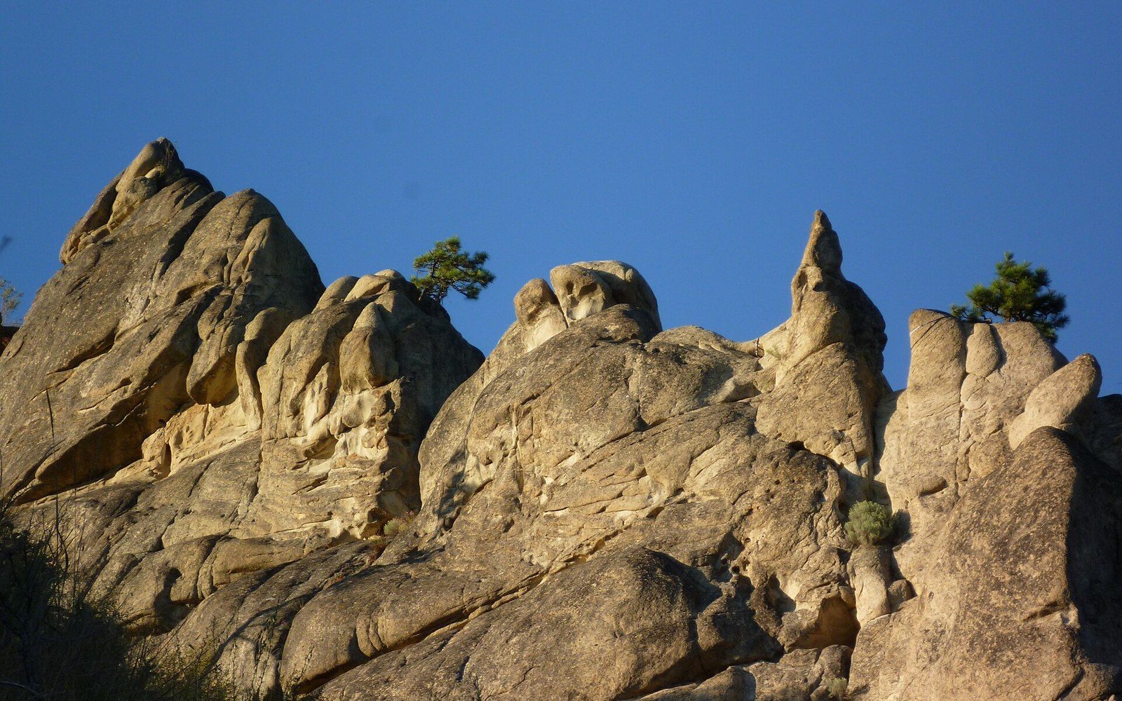 Jagged sandstone pinnacles rise against a clear blue sky with scattered pine trees