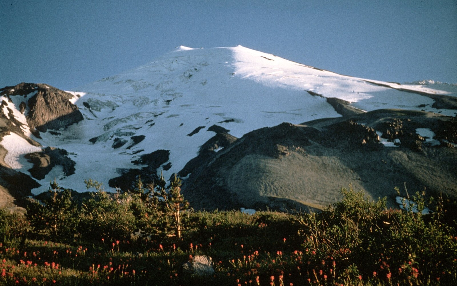 Snow-capped volcanic peak rises above rocky ridges with wildflowers in the foreground meadow