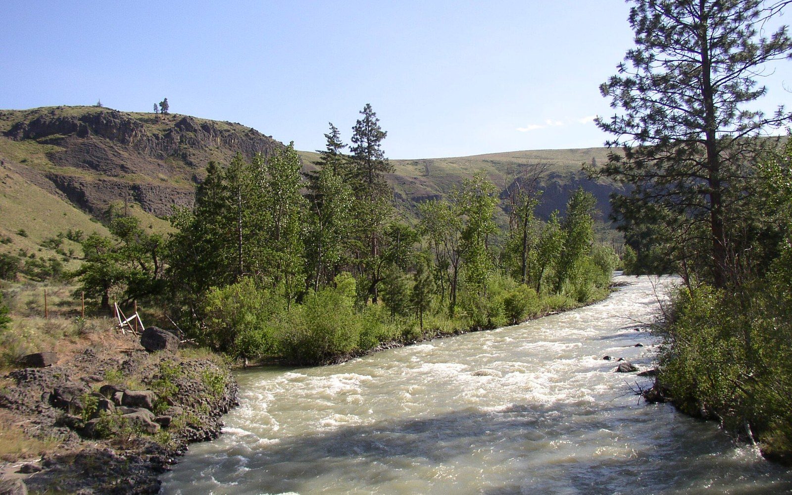 A rushing river winds through a canyon lined with pine trees and grassy bluffs