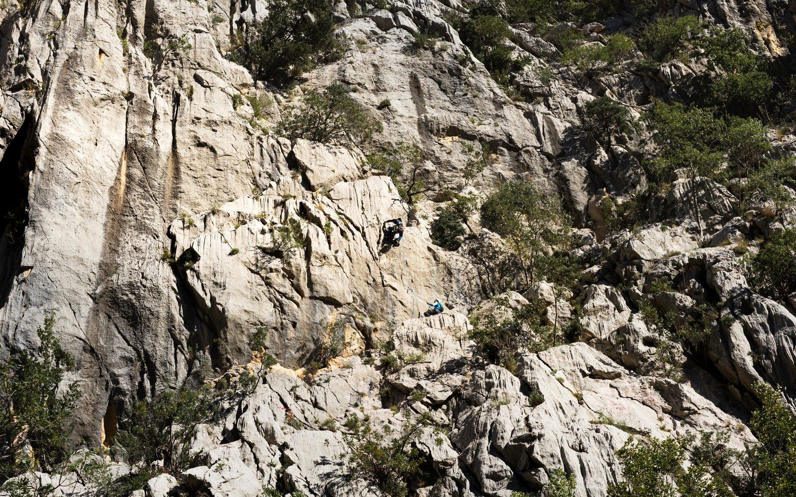 Two climbers scale a steep limestone cliff dotted with shrubs and trees